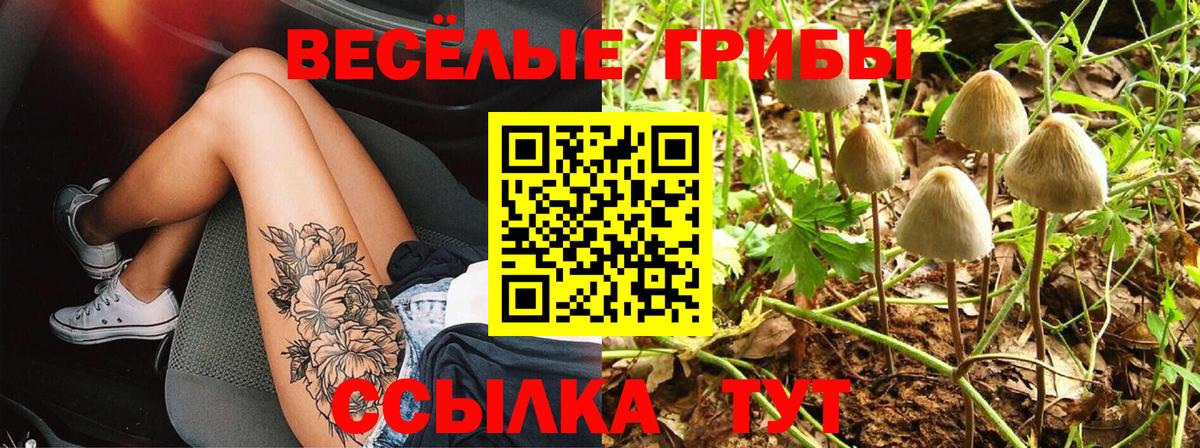 Галлюциногенные грибы Psilocybine cubensis  Вход с VPN  Чистополь 