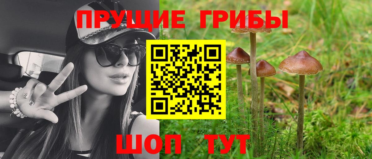 Псилоцибиновые грибы прущие грибы Чистополь